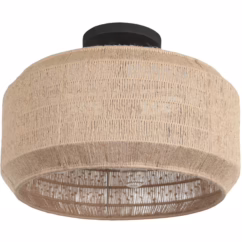 Cebu 4-Light Ceiling Light in Matte Black