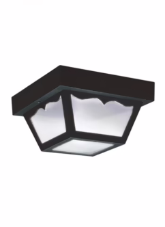 Ceiling 2-Light 10 Outdoor Ceiling Light in Clear