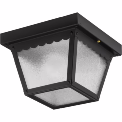 Ceiling Mount 1-Light Outdoor Flush Mount in Black