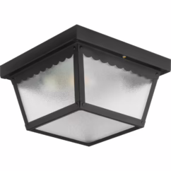 Ceiling Mount 2-Light Outdoor Flush Mount in Black