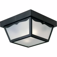 Ceiling Mount - Polycarbonate 2-Light Outdoor Flush Mount in Black