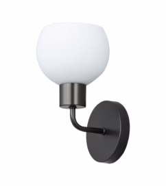 Coraline 1-Light Wall Sconce in Black