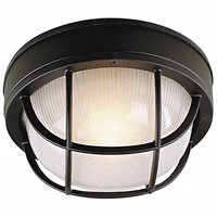 Craftmade Bulkheads 5" Outdoor Ceiling Light in Textured Matte Black