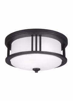 Crowell 2-Light Outdoor Ceiling Light in Black