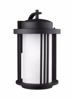 Crowell 20 Outdoor Wall Light in Black