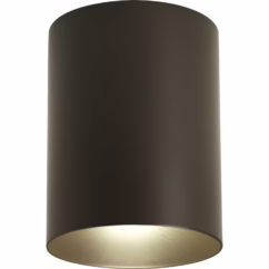 Cylinder 1-Light Outdoor Ceiling Mount in Antique Bronze