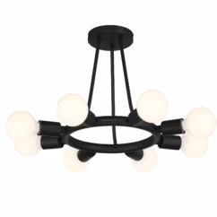 Dakota 8-Light Ceiling Light in Black