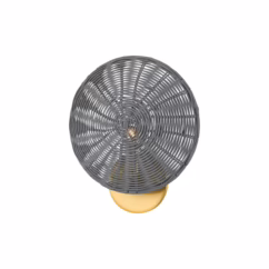 Destiny 1-Light Wall Sconce in Aged Brass