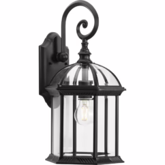 Dillard 1-Light Outdoor Wall Lantern in Black