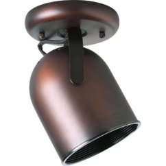 Directional 1-Light Ceiling Mount in Urban Bronze
