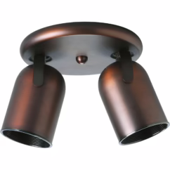 Directional 2-Light Wall with Ceiling Fixture in Urban Bronze