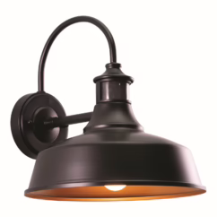 Dorado 1-Light Motion Sensor Outdoor Wall Light in Dark Bronze and Light Gold