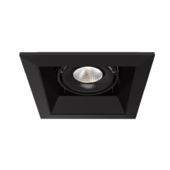 Eurofase Te161Led Ceiling Light
