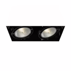 Eurofase Te222 2-Light Ceiling Light in Metal