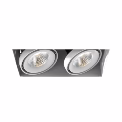 Eurofase Te222Led 2-Light Ceiling Light in Metal