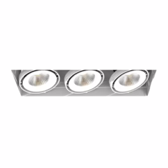 Eurofase Te223Led 3-Light Ceiling Light in Metal