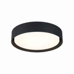 Ezra 1-Light LED Ceiling Mount in Black