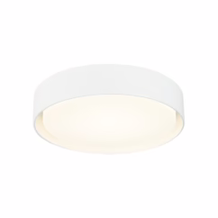 Ezra 1-Light LED Ceiling Mount in White
