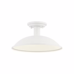 Farmley 1-Light Ceiling Mount in White