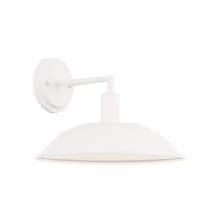 Farmley 1-Light Wall Sconce in White