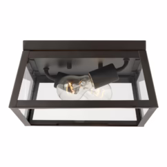 Founders 2-Light Outdoor Ceiling Light in Antique Bronze