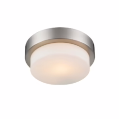 Golden 9" Ceiling Light in Pewter