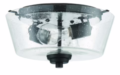 Grace 2-Light Ceiling Light in Espresso