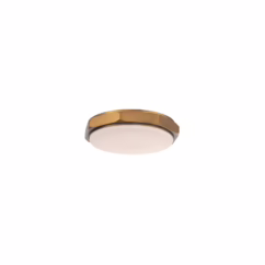 Grommet 1-Light LED Flush Mount Ceiling Light in Aged Brass