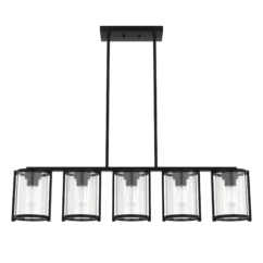 Hunter Astwood 5-Light Linear Chandelier in Matte Black