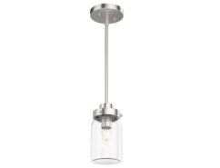 Hunter Devon Park 1-Light Mini Pendant in Brushed Nickel