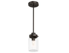 Hunter Devon Park 1-Light Mini Pendant in Onyx Bengal