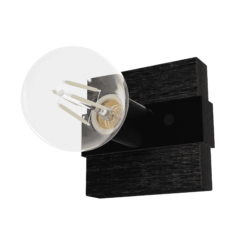 Hunter Donelson 1-Light Sconce in Natural Iron