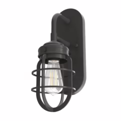 Hunter Starklake 1-Light Wall Sconce in Noble Bronze