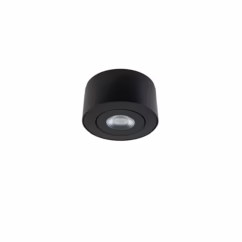 I Spy 1-Light LED Outdoor Flush Mount Ceiling Light in Black