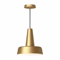 Juliana 1-Light Pendant in Brushed Gold