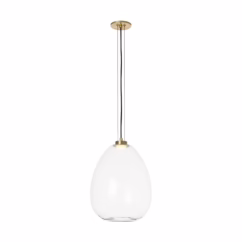 Kapoor 1-Light