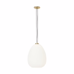 Kapoor 1-Light
