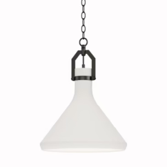 Lumi 1-Light Pendant in Black