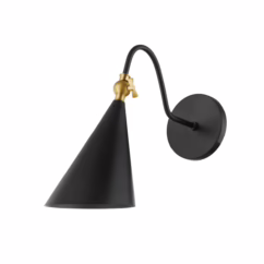 Lupe 1-Light Wall Sconce in Aged Brass with Soft Black