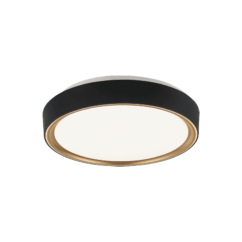 Matteo Alamus 1-Light Ceiling Light In Aged Gold Brass With Matte Black