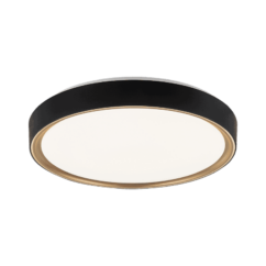 Matteo Alamus 2-Light Ceiling Light In Aged Gold Brass With Matte Black