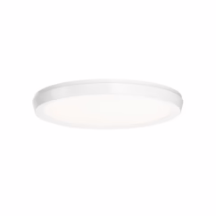 Modern Forms Argo Ceiling Light in White