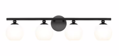 Neoma 4-Light Bathroom Vanity Light in Matte Black
