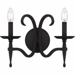 Octavia 2-Light Wall Sconce in Earth Black