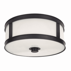 Patterson 2-Light Ceiling Light in Old Bronze