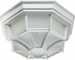Quorum 11" Ceiling Light in White