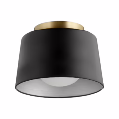 Quorum Dome 11" Ceiling Light in Noir