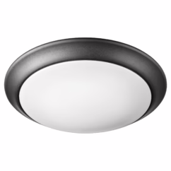 Quorum Traditional 1-Light 10" Outdoor Ceiling Light in Noir