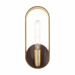 Ravena 1-Light Wall Sconce in Bronze w with Antique Brasss