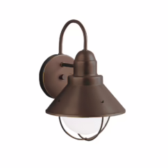 Seaside 1-Light Outdoor Medium Wall Sconce in Olde Bronze